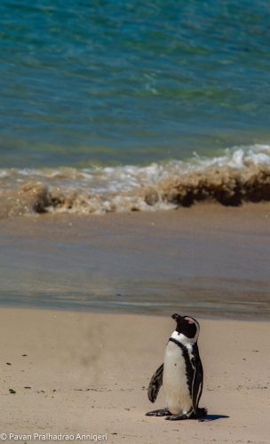 WhatsApp Image 2025-07-07 at 6.31.18 PM