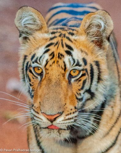 WhatsApp Image 2025-07-07 at 6.31.20 PM