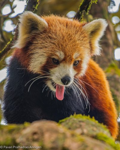 WhatsApp Image 2025-07-07 at 6.31.21 PM