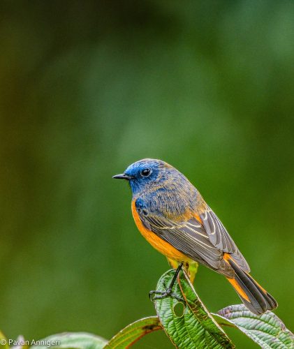 WhatsApp Image 2025-07-07 at 6.31.22 PM