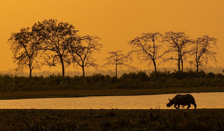 WhatsApp Image 2025-07-07 at 6.31.24 PM (1)