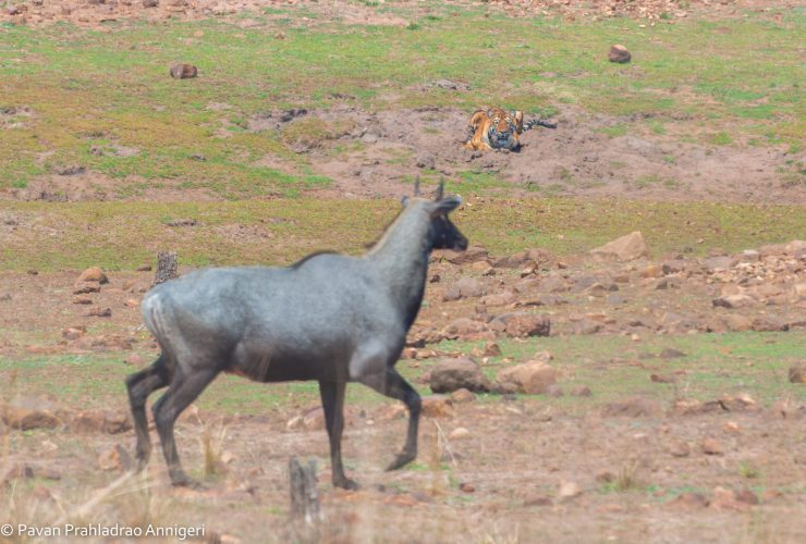 WhatsApp Image 2025-07-07 at 6.31.24 PM