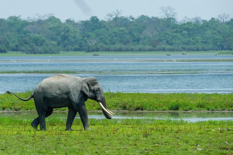 WhatsApp Image 2025-07-07 at 6.31.25 PM