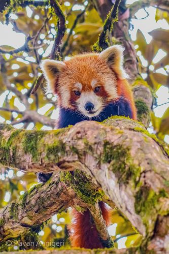 WhatsApp Image 2025-07-07 at 6.31.26 PM (1)