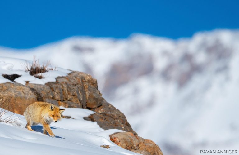 WhatsApp Image 2025-07-07 at 6.31.26 PM