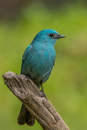 WhatsApp Image 2025-07-07 at 6.31.27 PM