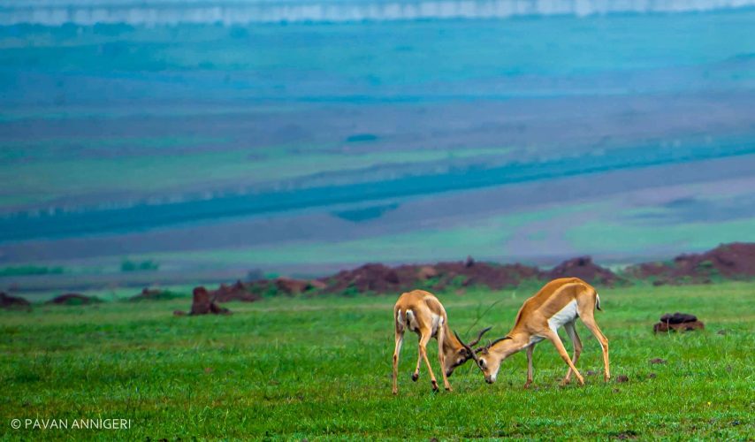 WhatsApp Image 2025-07-07 at 6.31.28 PM (1)