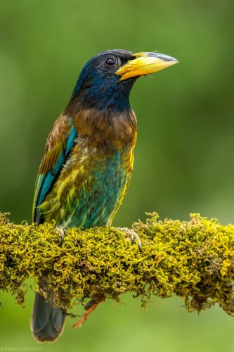 WhatsApp Image 2025-07-07 at 6.31.28 PM