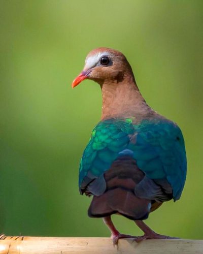 WhatsApp Image 2025-07-07 at 6.31.29 PM (1)