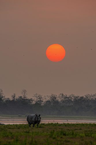 WhatsApp Image 2025-07-07 at 6.31.29 PM