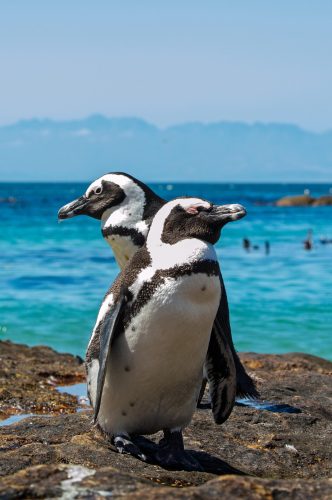 WhatsApp Image 2025-07-07 at 6.31.30 PM