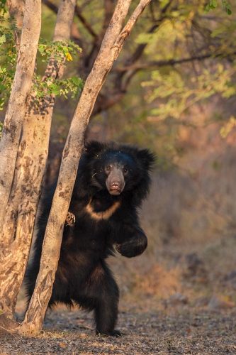 WhatsApp Image 2025-07-07 at 6.31.34 PM