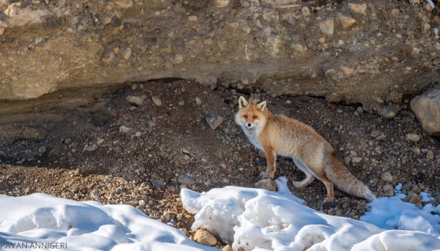 WhatsApp Image 2025-07-07 at 6.31.35 PM (1)