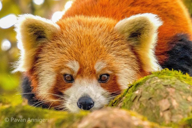 WhatsApp Image 2025-07-07 at 6.31.35 PM